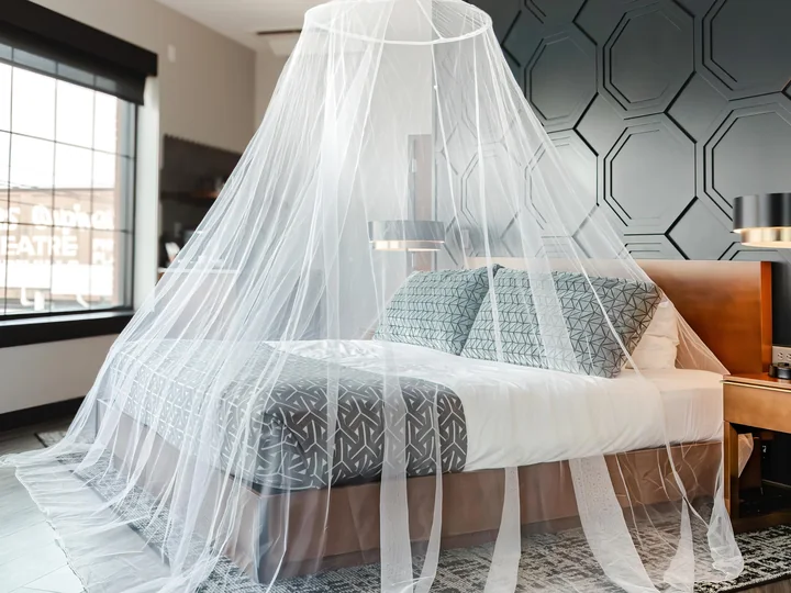 Mosquito net canopy bed net export India